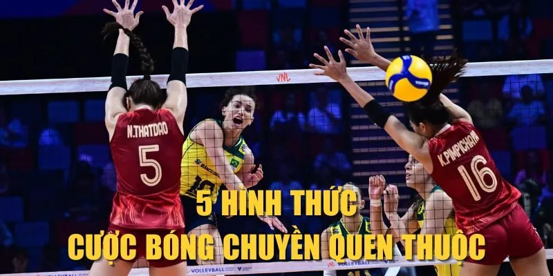 5 hình thức cược bóng chuyền quen thuộc