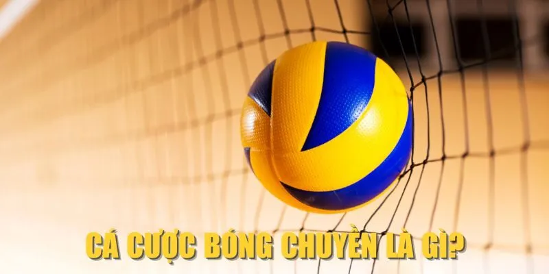 Cá cược bóng chuyền là gì?