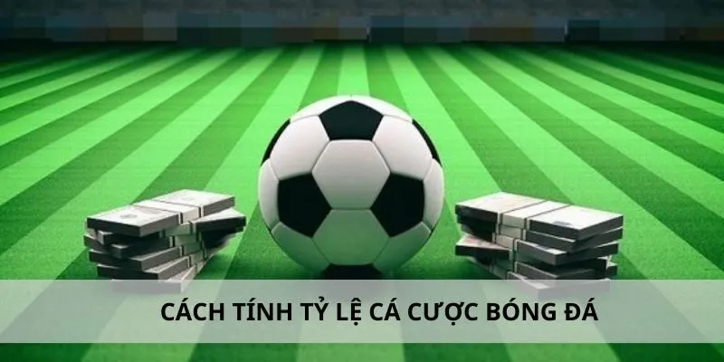 Hiểu Rõ Tỷ Lệ Cá Cược - Bí Quyết Thành Công Trong Cá Độ