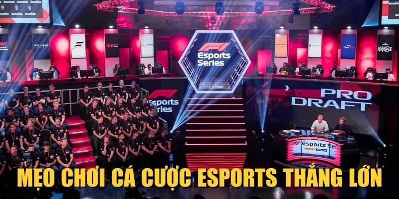 Mẹo chơi cá cược Esports thắng lớn