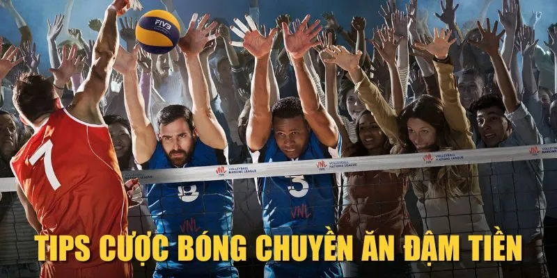 Tips cược bóng chuyền ăn đậm tiền
